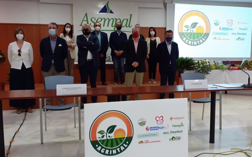 Almería.- Una nueva asociación agrupa a las empresas agroalimentarias de agricultura intensiva al aire libre