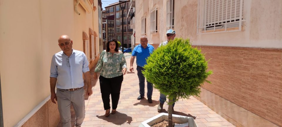 El alcalde de Huércal-Overa, Domingo Fernández, y la diputada Matilde Díaz, visitan las obras del PFEA en el municipio
